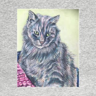 Fluffy grey cat T-Shirt